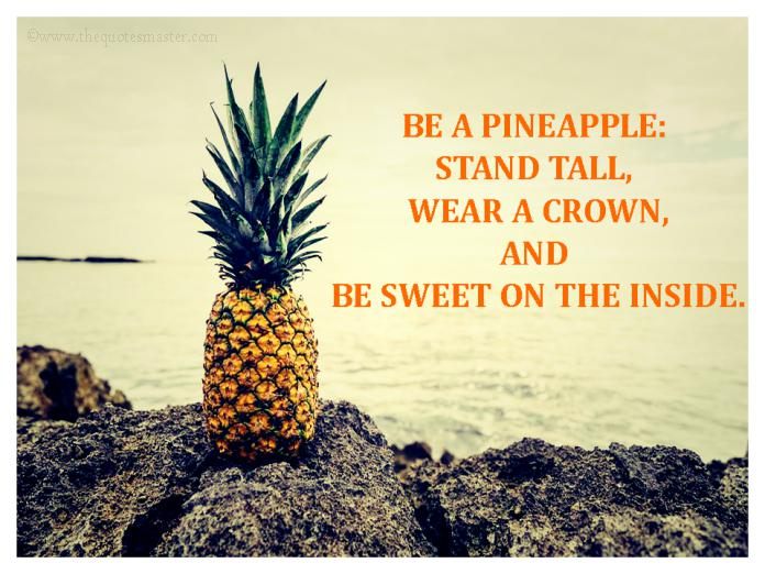 Pineapple quote