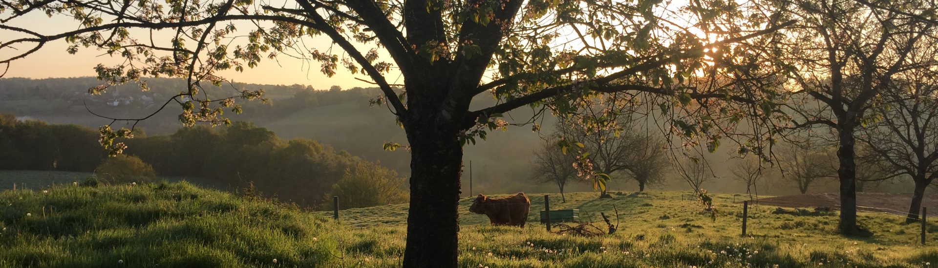French Dordogne sunrise view