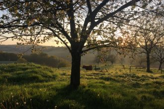 French Dordogne sunrise view