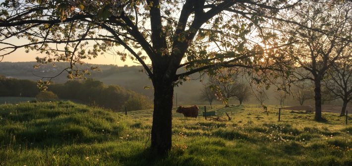French Dordogne sunrise view