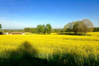 France Dordogne
