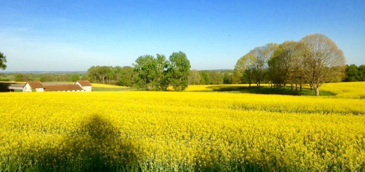 France Dordogne