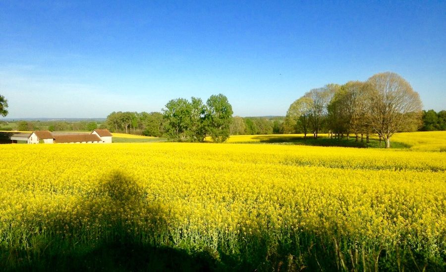 France Dordogne